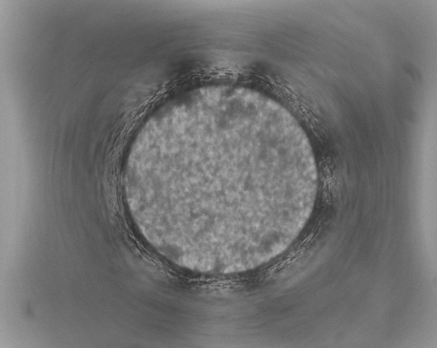 X0000115520769200911201658