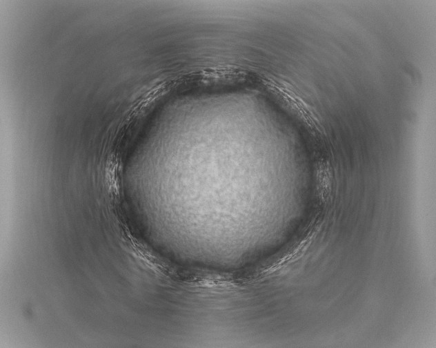 X0000115520770200911201658