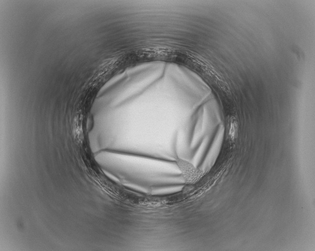 X0000115520771200911201658