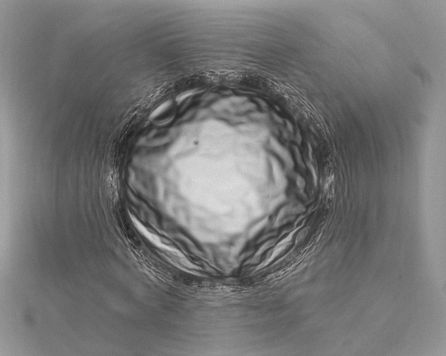 X0000115520772200911201658