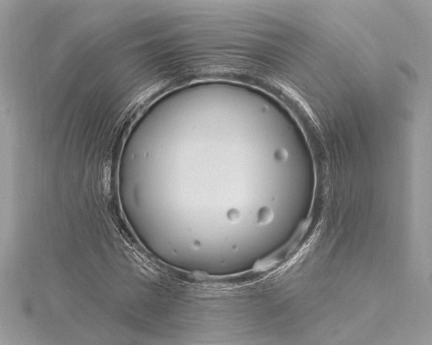 X0000115520777200911201658