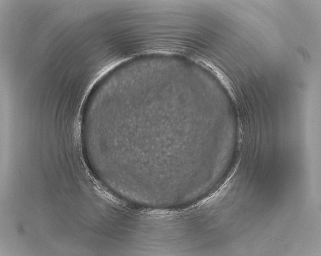 X0000115520779200911201658