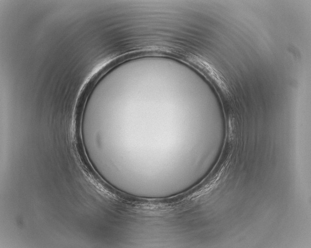 X0000115520780200911201658