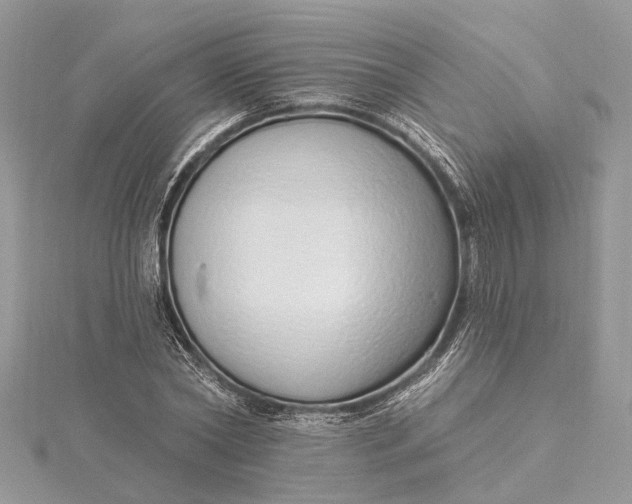 X0000115520782200911201658