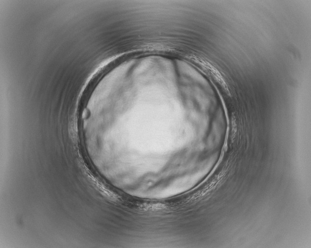 X0000115520784200911201658