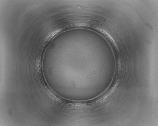 X0000115520785200911201658