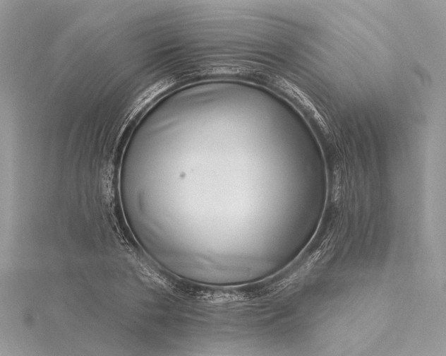 X0000115520786200911201658