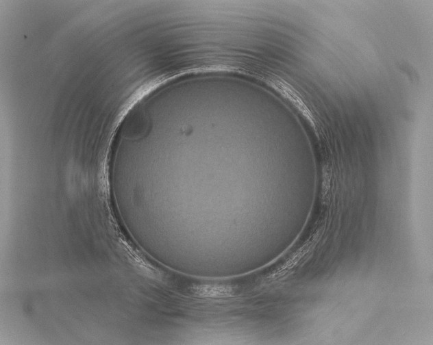 X0000115520789200911201658