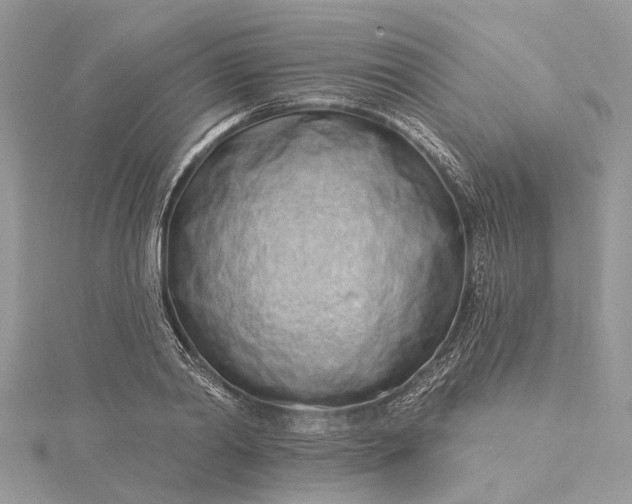 X0000115520790200911201658