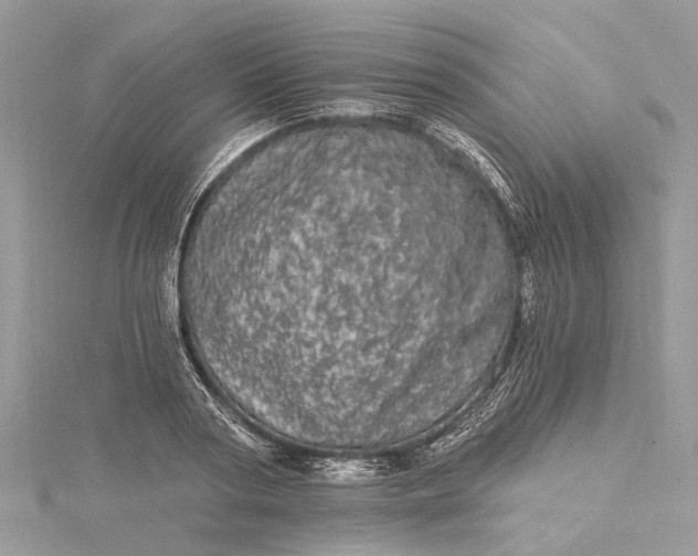 X0000115520794200911201658