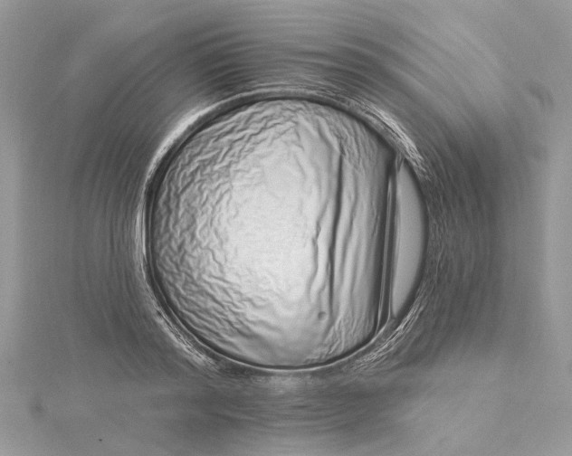 X0000115520796200911201658