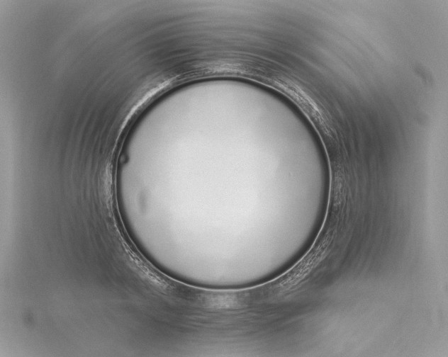 X0000115520798200911201658