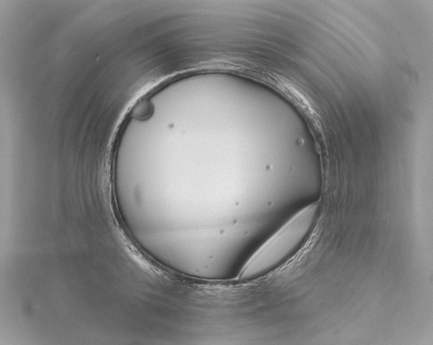 X0000115520800200911201658