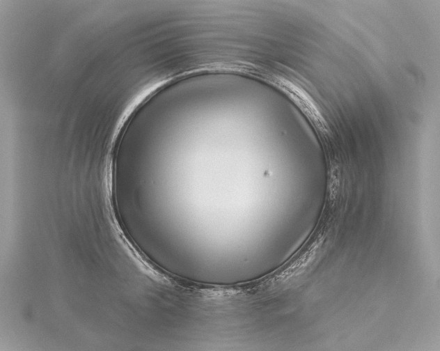 X0000115520804200911201658