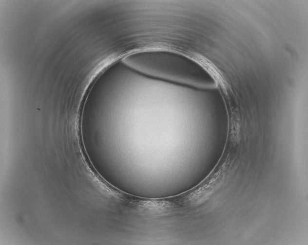 X0000115520805200911201658