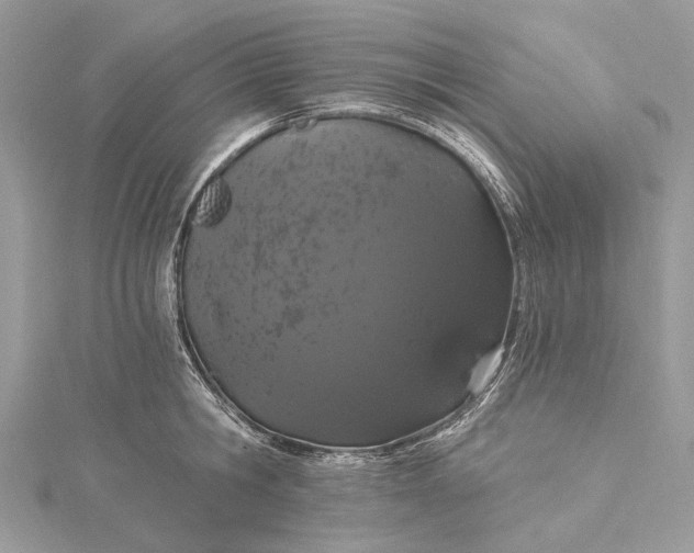 X0000115520806200911201658