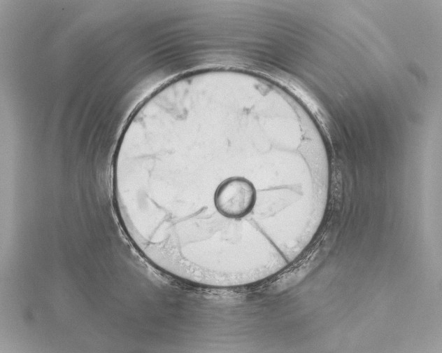 X0000115520807200911201658