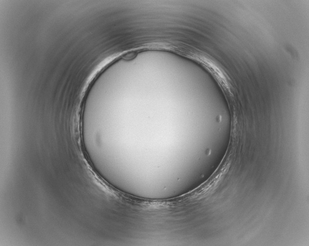 X0000115520808200911201658