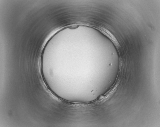 X0000115520812200911201658