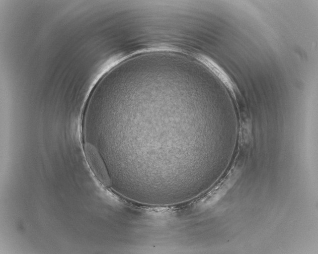 X0000115520813200911201658