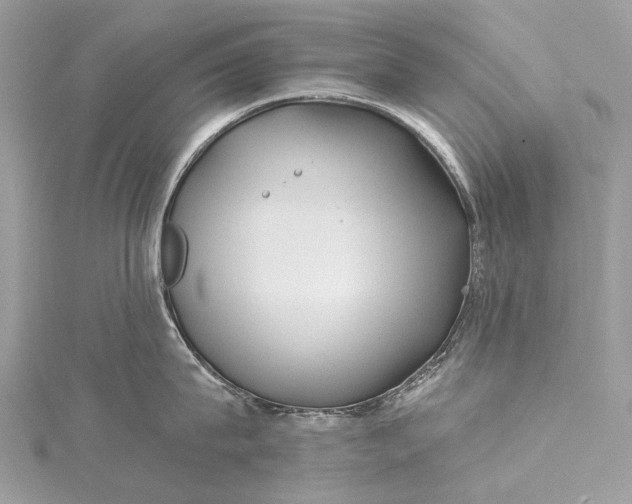 X0000115520815200911201658