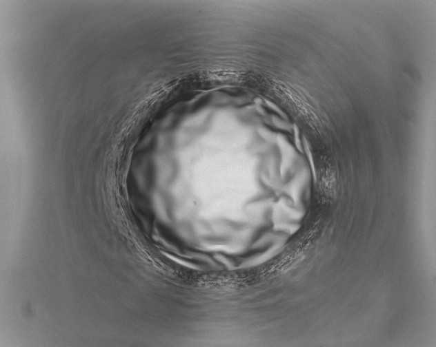 X0000115520817200911201657