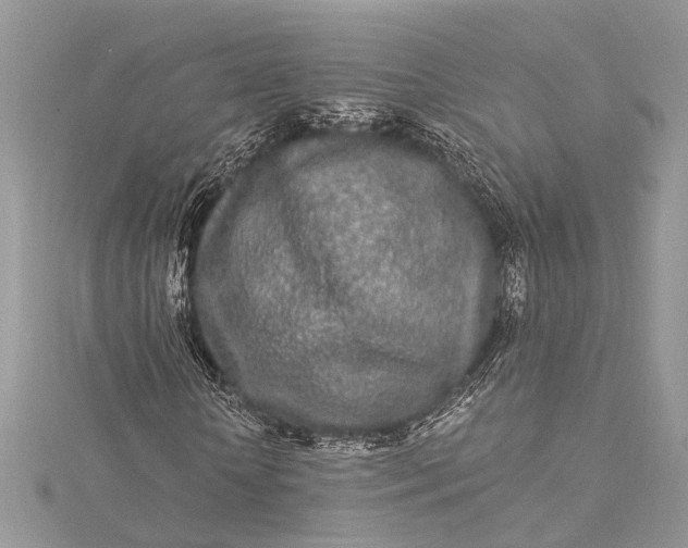 X0000115520818200911201657