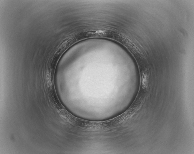 X0000115520819200911201657