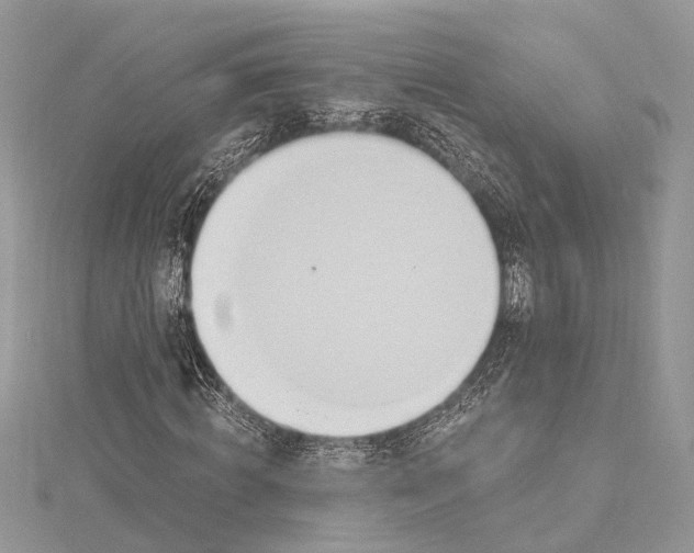 X0000115520820200911201657