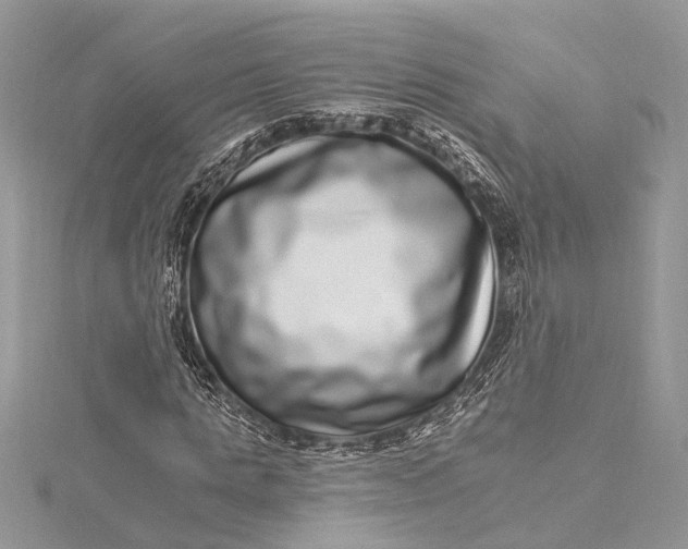 X0000115520821200911201657