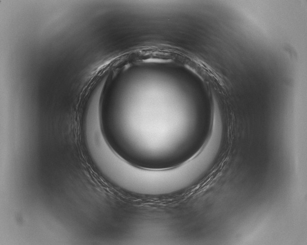 X0000115520822200911201657