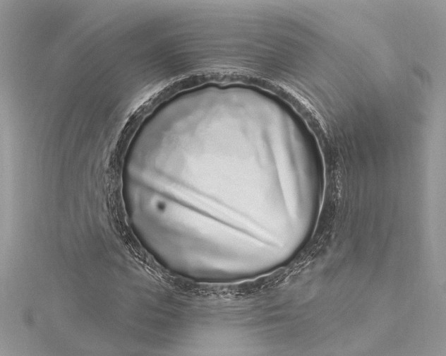 X0000115520823200911201657