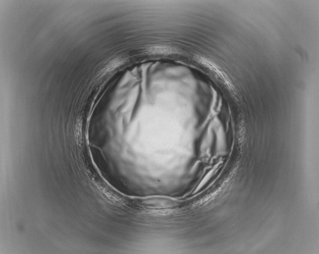 X0000115520825200911201657