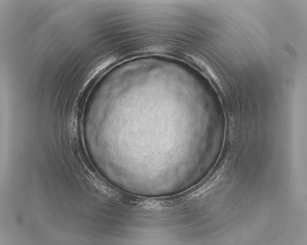 X0000115520827200911201657