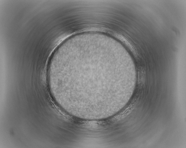 X0000115520828200911201657