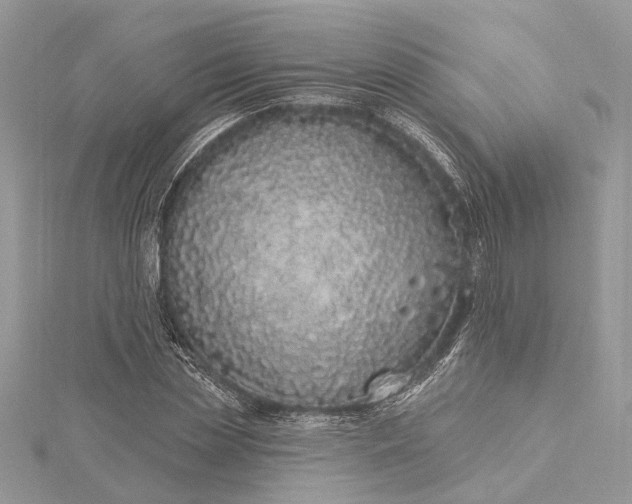 X0000115520829200911201657