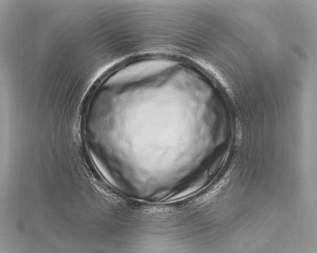 X0000115520830200911201657