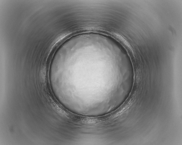 X0000115520831200911201657