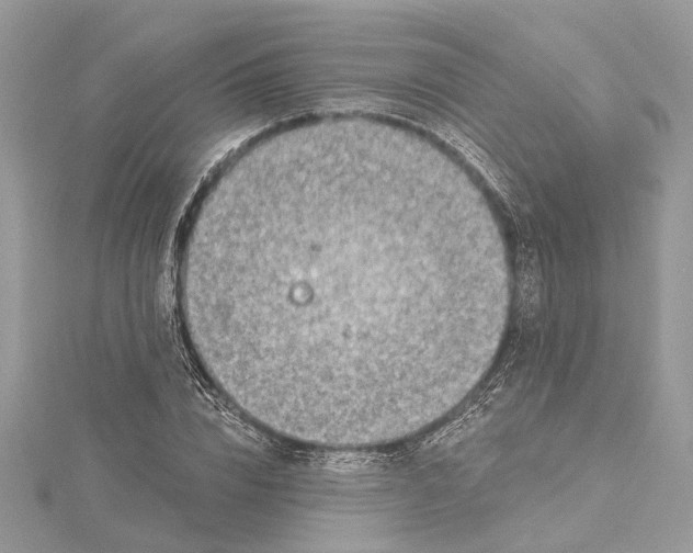 X0000115520832200911201657