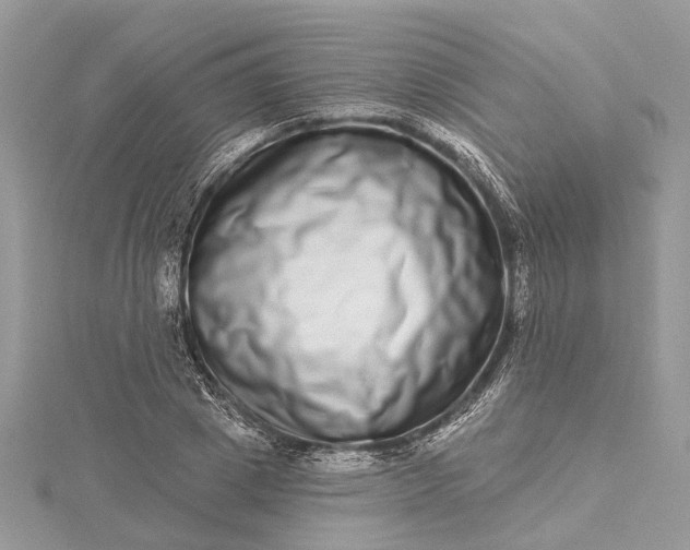 X0000115520833200911201657