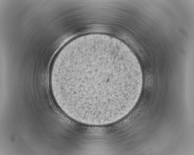 X0000115520836200911201657