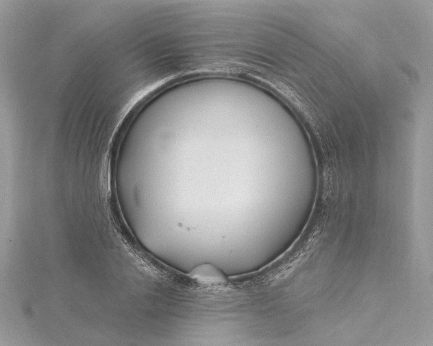 X0000115520838200911201657