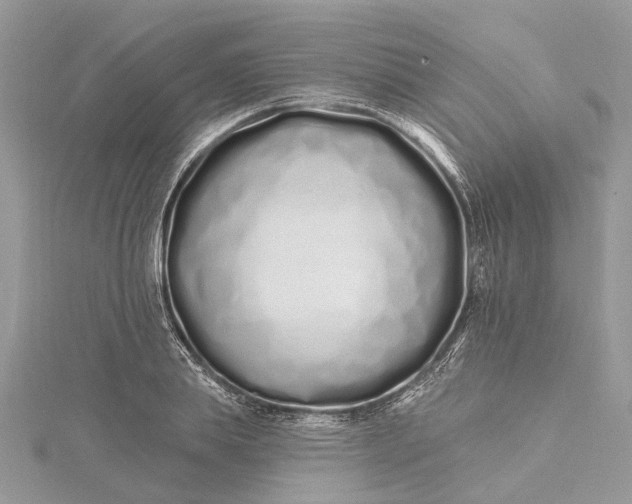 X0000115520839200911201657