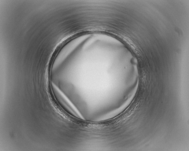 X0000115520840200911201657