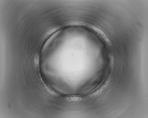 X0000115520841200911201657