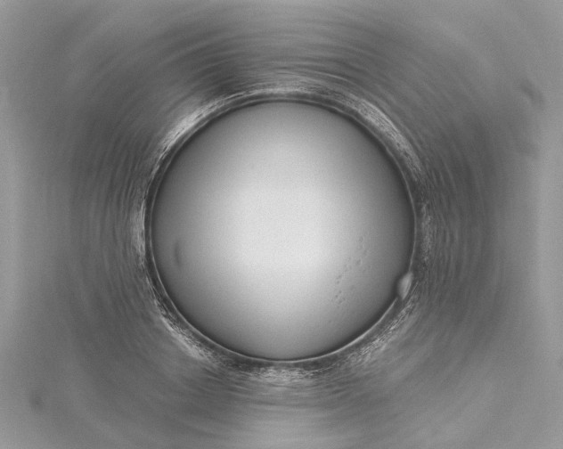 X0000115520842200911201657