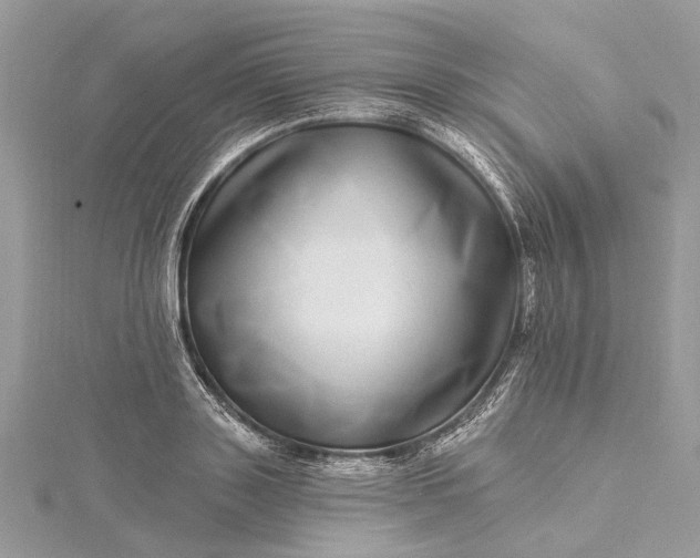 X0000115520843200911201657