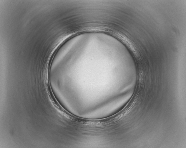 X0000115520844200911201657