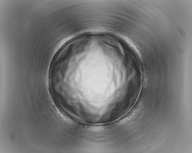 X0000115520845200911201657