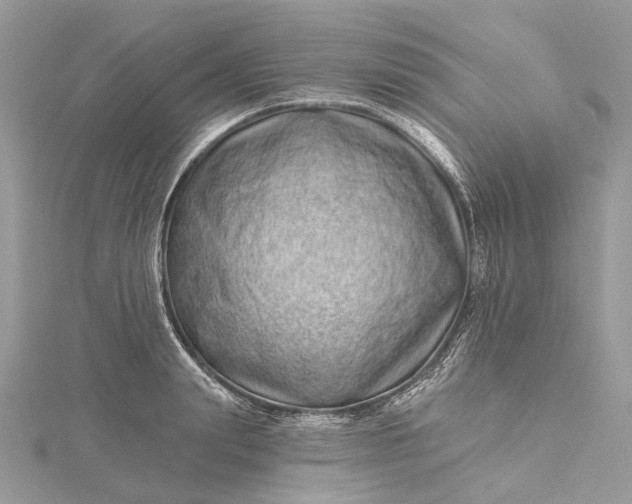 X0000115520847200911201657